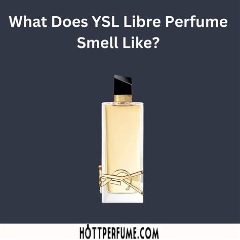 ysl cologne reviews|what does ysl smell like.